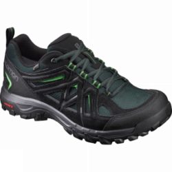 Mens Evasion II GTX Shoe